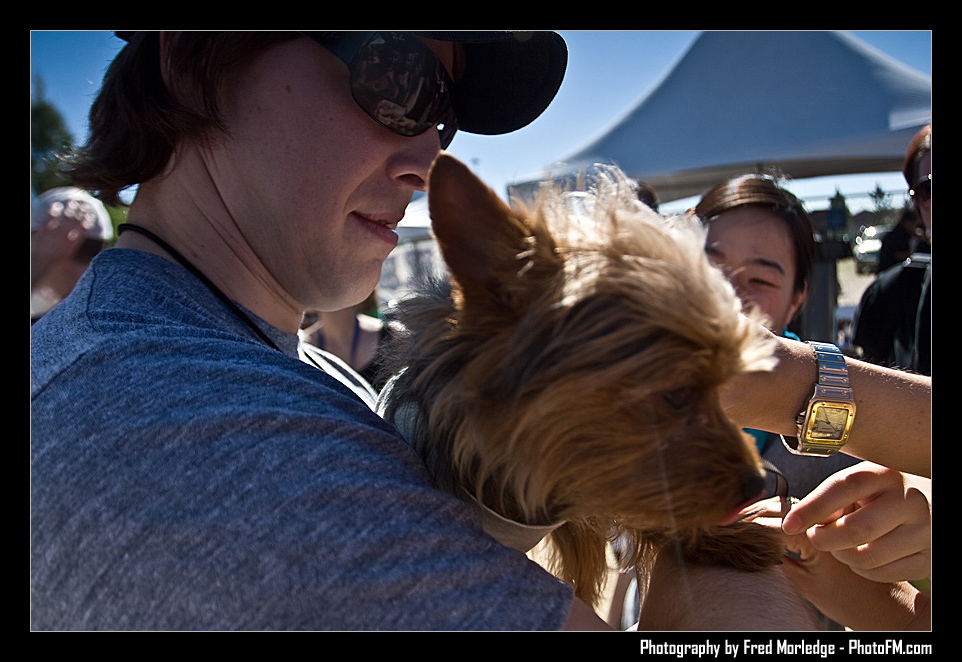Petapalooza2008GavinDegraw_016