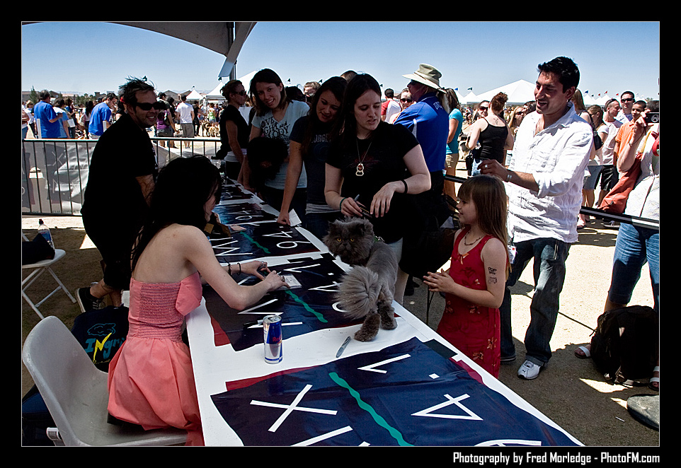 Petapalooza2008KateVoegele034