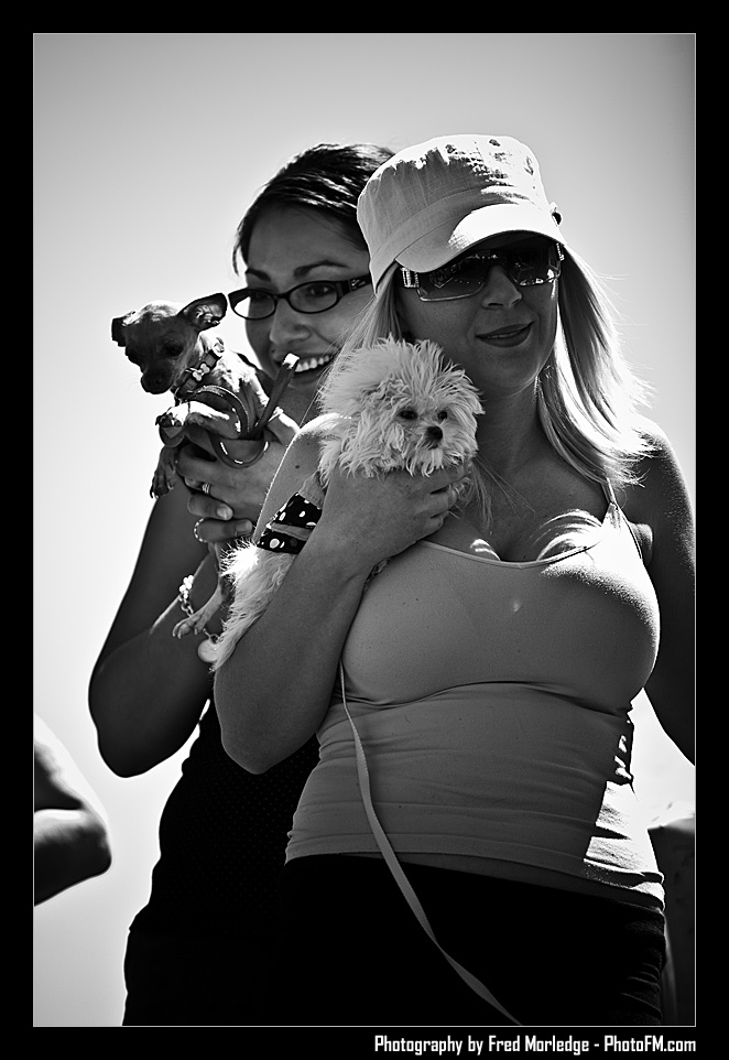 Petapalooza2008Pets_006