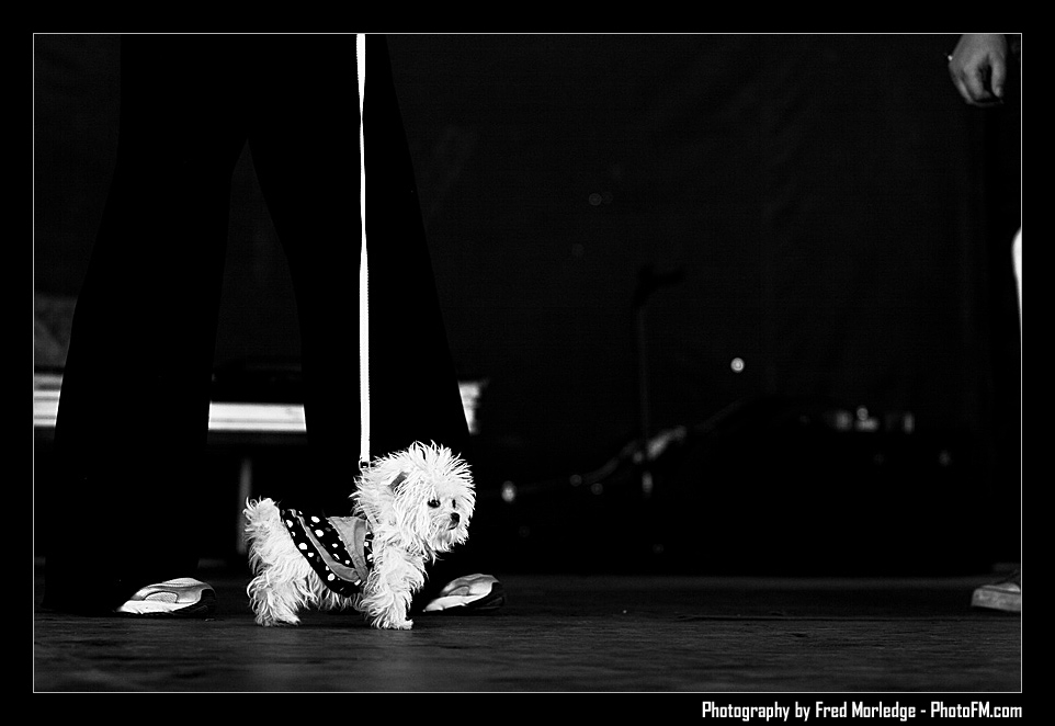 Petapalooza2008Pets_009