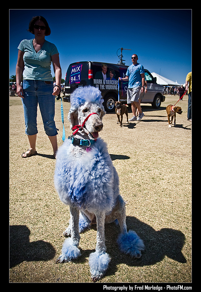 Petapalooza2008Pets_020