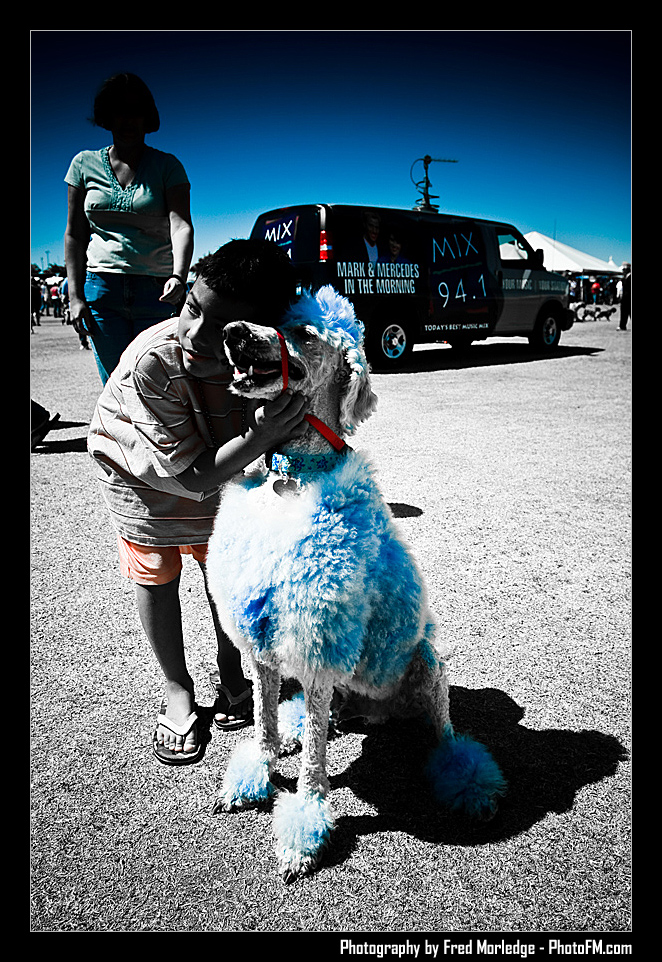 Petapalooza2008Pets_021