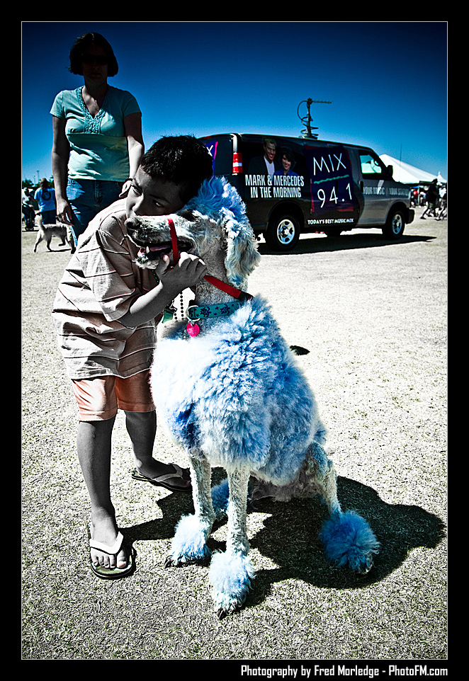 Petapalooza2008Pets_022