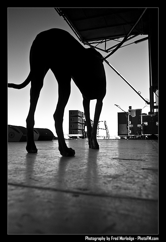 Petapalooza2008Pets_025