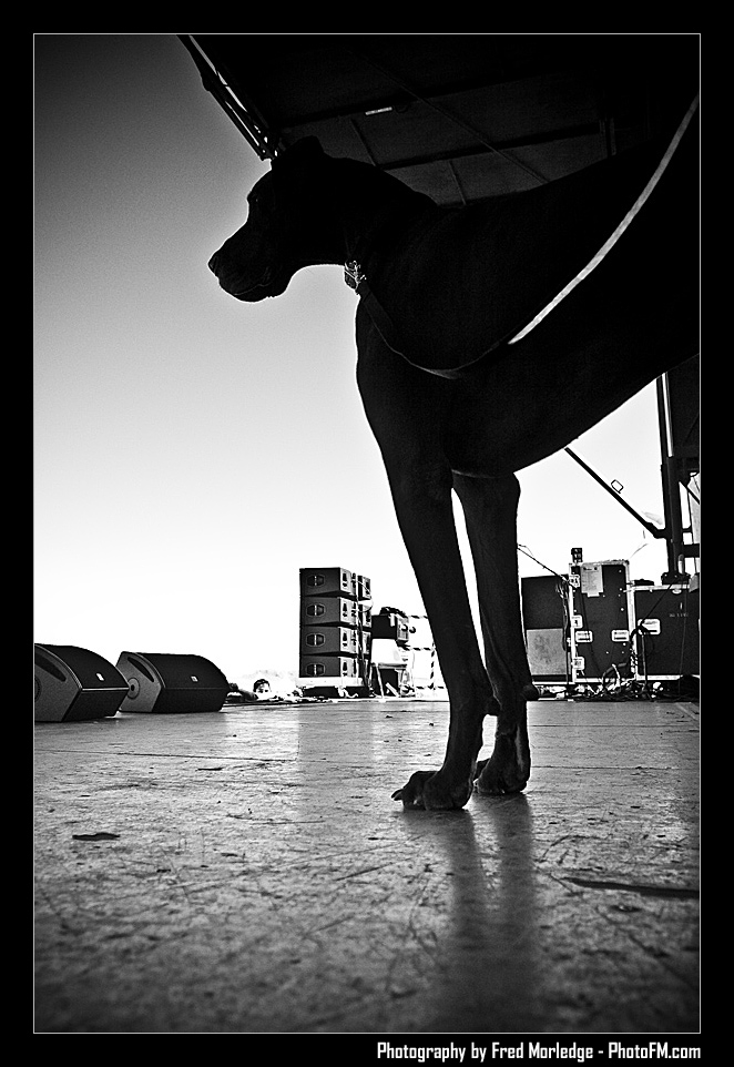 Petapalooza2008Pets_026