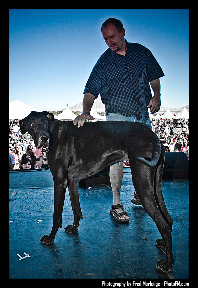 Petapalooza2008Pets_028