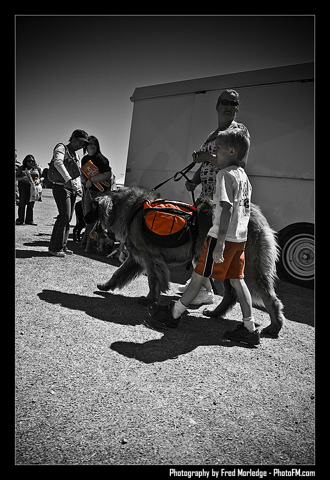 Petapalooza2008Pets_036