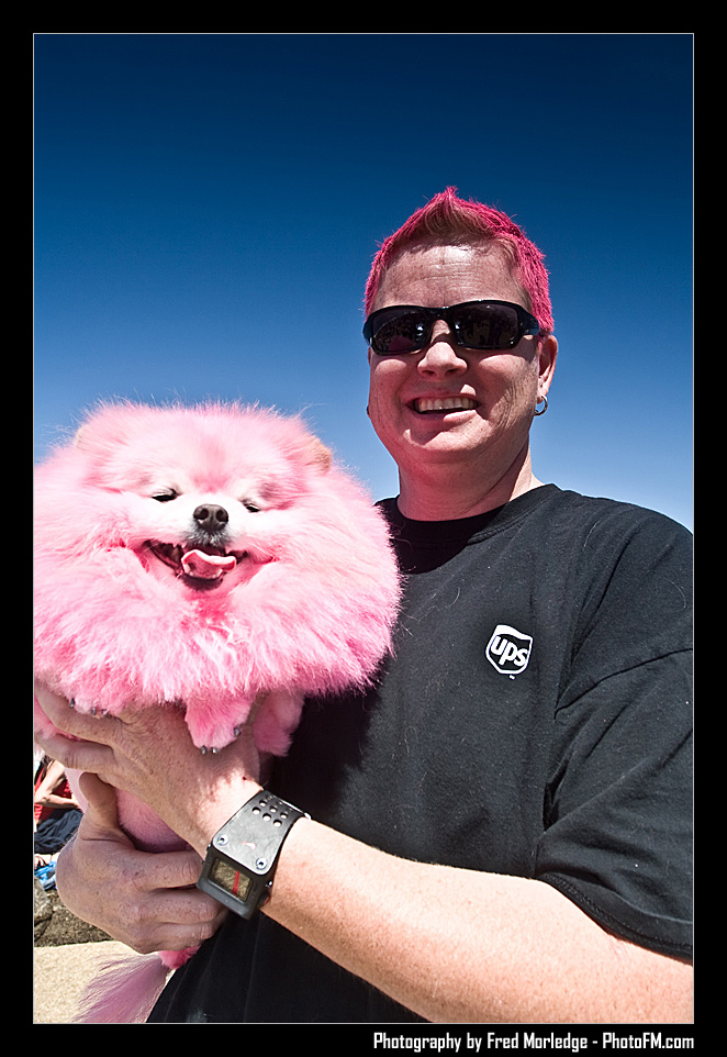 Petapalooza2008Pets_040