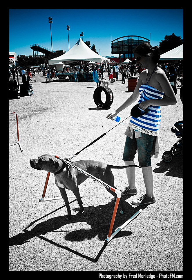 Petapalooza2008Pets_045