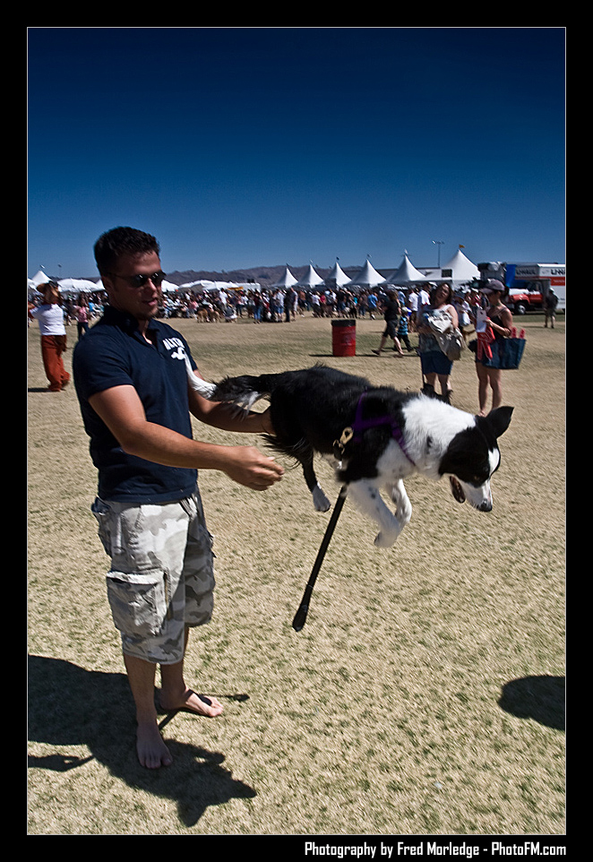 Petapalooza2008Pets_053