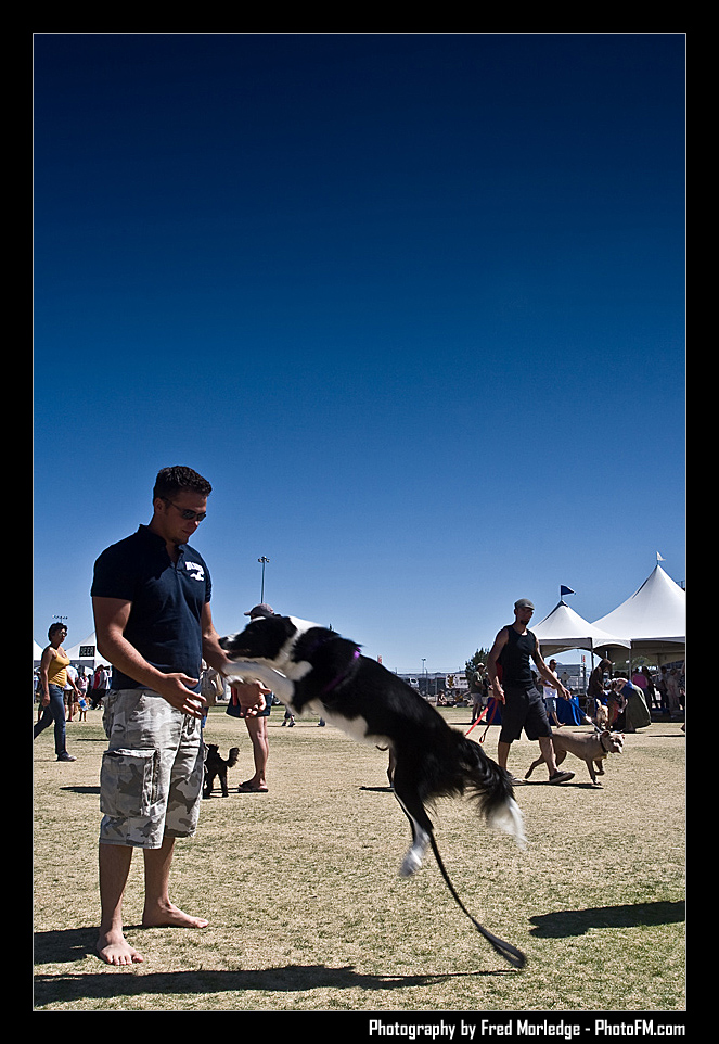 Petapalooza2008Pets_054