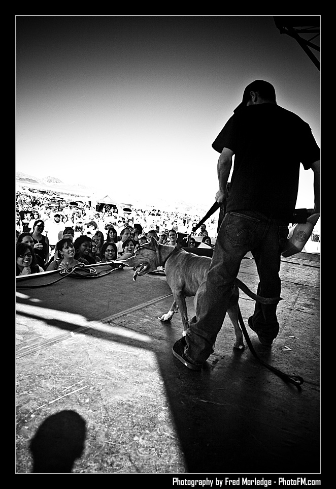 Petapalooza2008Pets_057