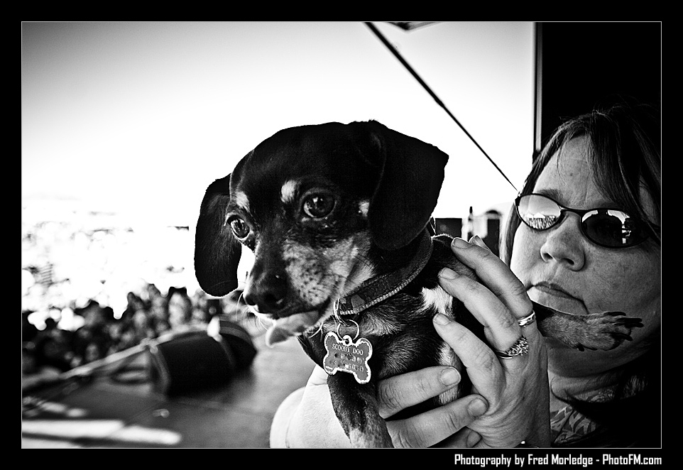 Petapalooza2008Pets_058