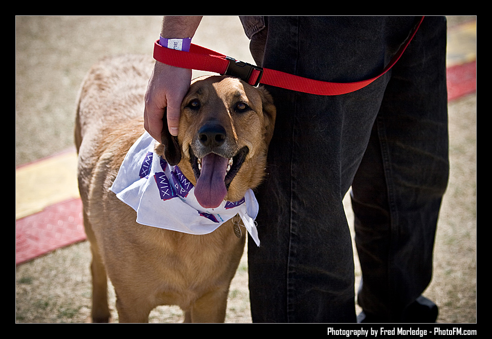 Petapalooza2008Pets_060