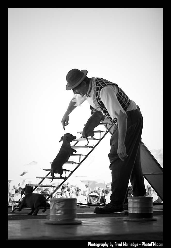 Petapalooza2008Popovich_009